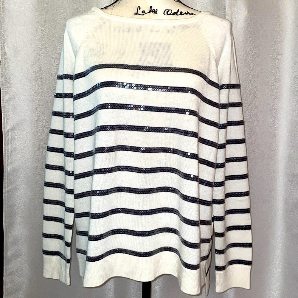 Ann Taylor Women’s Sweater